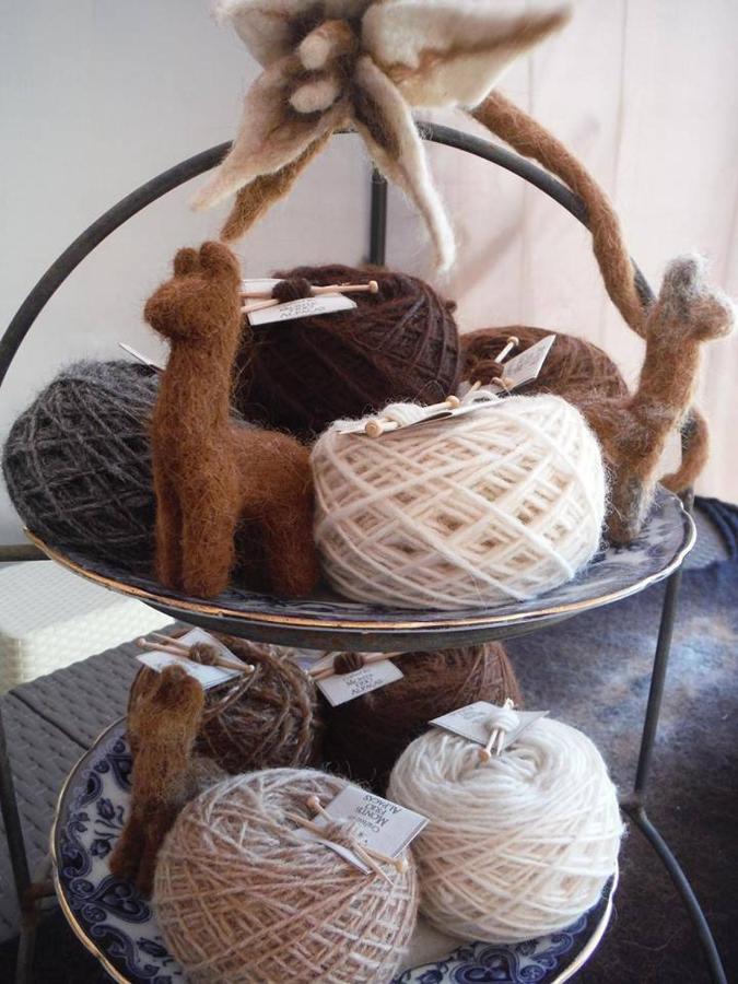Monte Frio Alpacas Villa Nariz Exteriör bild