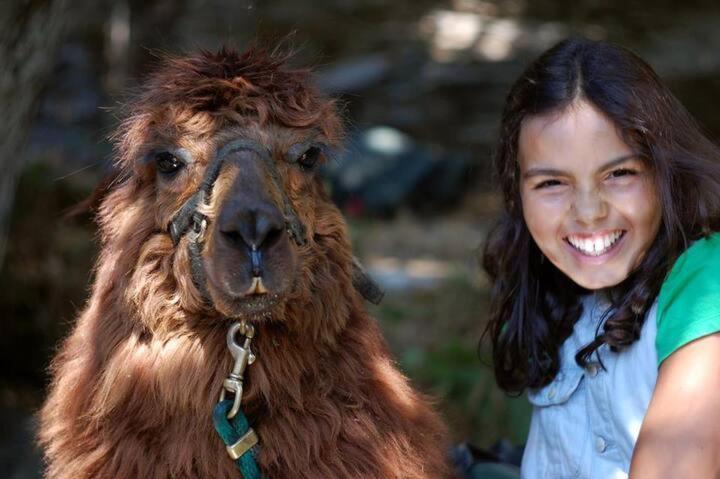 Monte Frio Alpacas Villa Nariz Exteriör bild