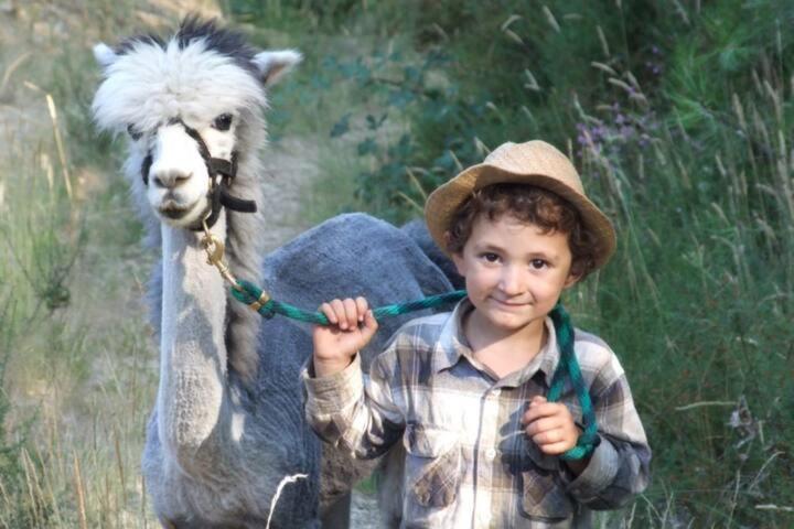 Monte Frio Alpacas Villa Nariz Exteriör bild