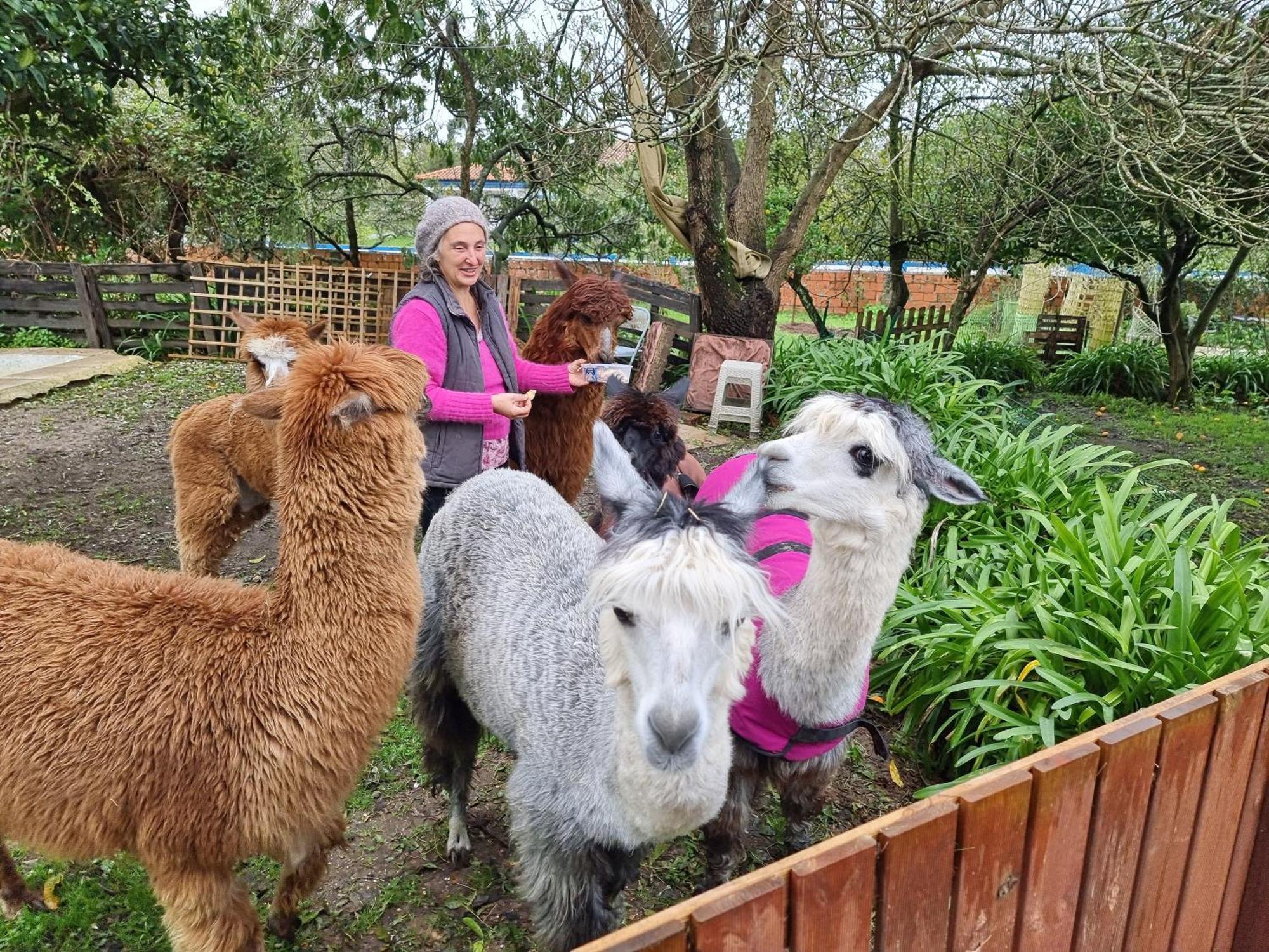 Monte Frio Alpacas Villa Nariz Exteriör bild
